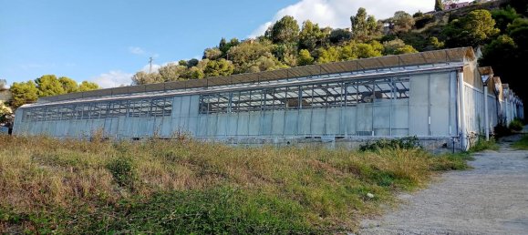 Grundstück in Sanremo, Italy 17000m², Nr. 231712 7