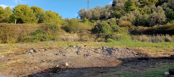 Grundstück in Sanremo, Italy 17000m², Nr. 231712 4