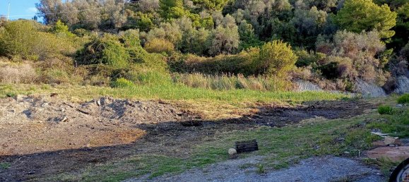 Grundstück in Sanremo, Italy 17000m², Nr. 231712 3