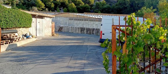 Grundstück in Sanremo, Italy 17000m², Nr. 231712 5