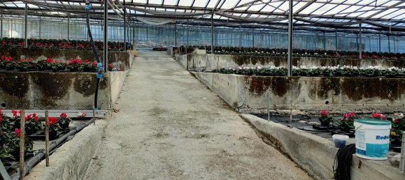 Grundstück in Sanremo, Italy 17000m², Nr. 231712 14