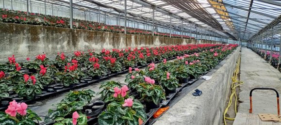 Grundstück in Sanremo, Italy 17000m², Nr. 231712 12