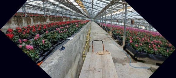 Grundstück in Sanremo, Italy 17000m², Nr. 231712 2