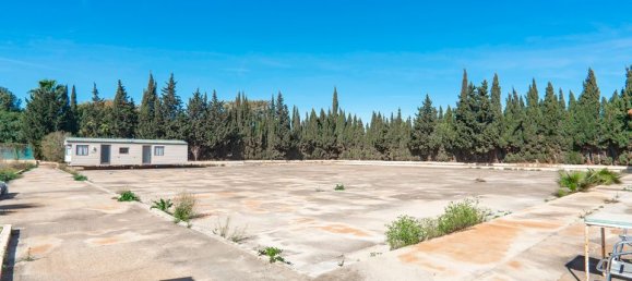 6 chambres Maison à Los Montesinos, Spain No. 185212 18