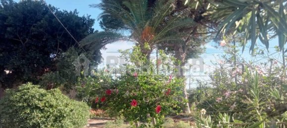 5غرفة فيلا في Castelvetrano, Italy رقم 209237 20