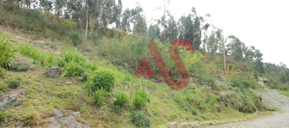 46000m² Land in Santa Eulalia, Portugal No. 40465 9