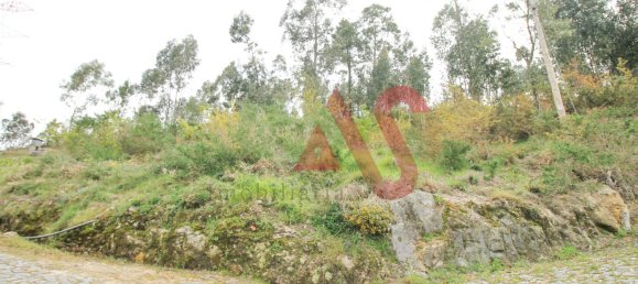 46000m² Land in Santa Eulalia, Portugal No. 40465 2