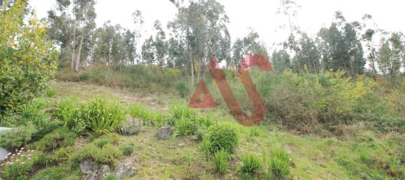 46000m² Land in Santa Eulalia, Portugal No. 40465 8