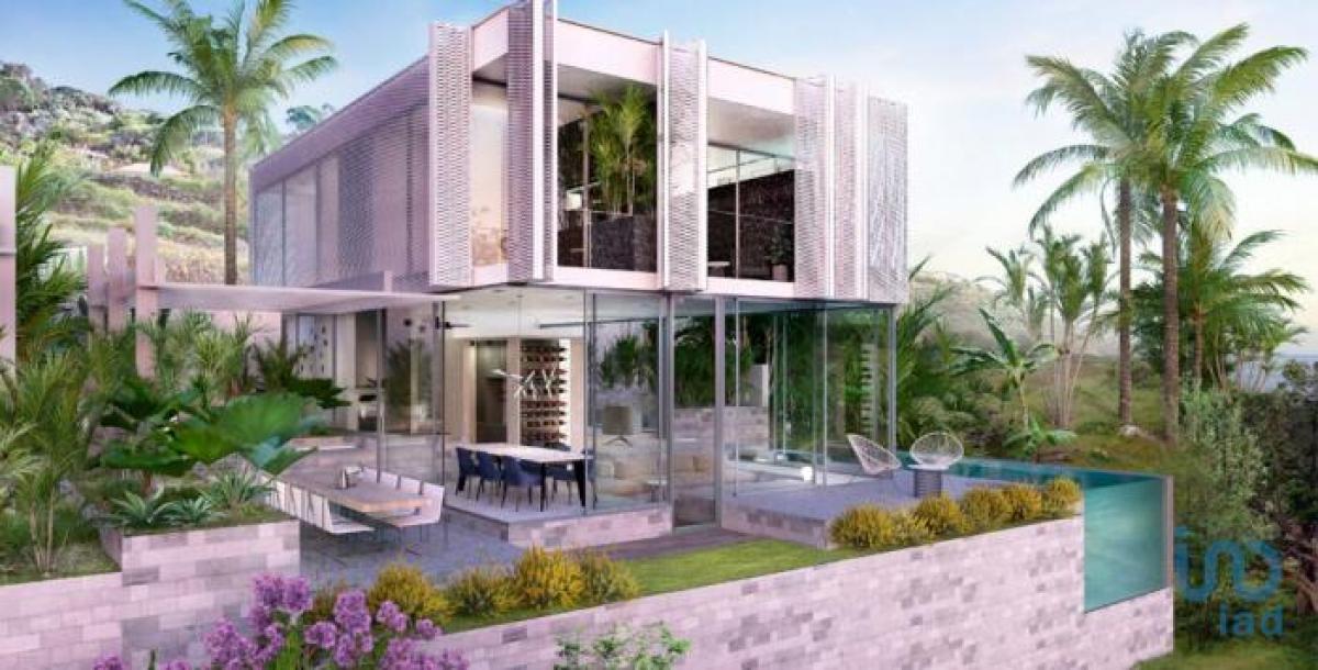 3 bedrooms House in Ribeira Brava, Portugal No. 769