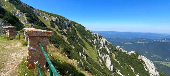 1705m² Hotel in Neunkirchen, Austria No. 173646 23