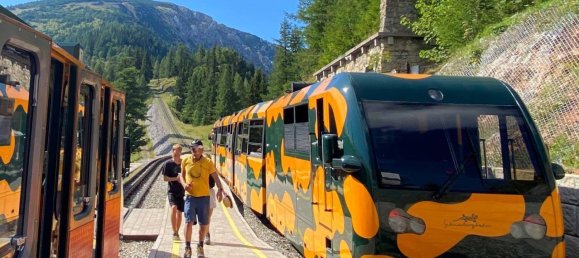 1705m² Hotel in Neunkirchen, Austria No. 173646 3