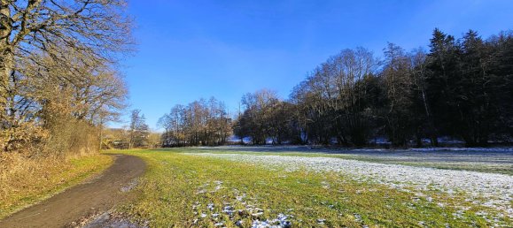 3 chambres Bungalow à Rhein-Hunsruck, Germany No. 199875 22