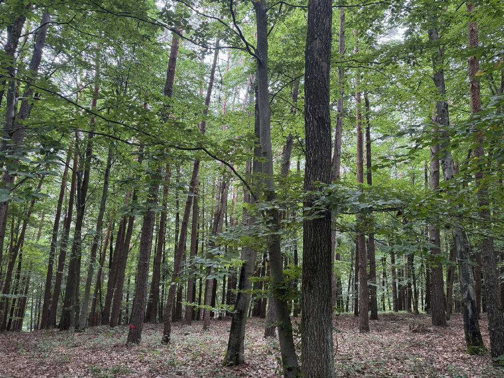 Terreno em Landshut, Germany N.º 366451