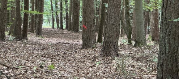 Terreno em Landshut, Germany N.º 366451 2