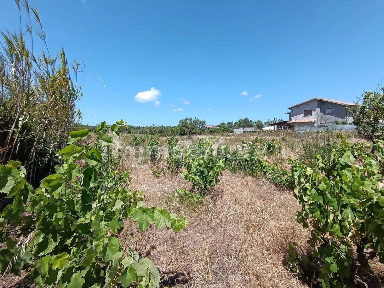 Terreno em Sardinia, Italy 1409 m² N.º 338303