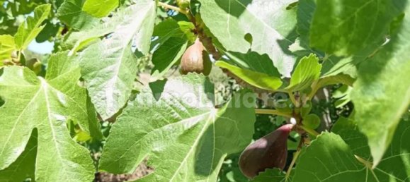 Terreno em Sardinia, Italy 1409 m² N.º 338303 4