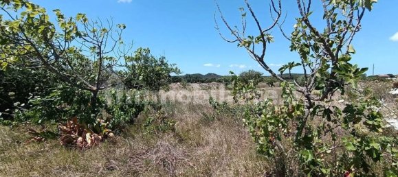 Terreno em Sardinia, Italy 1409 m² N.º 338303 10