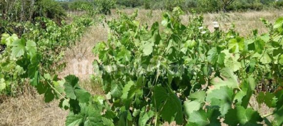 Terreno em Sardinia, Italy 1409 m² N.º 338303 6