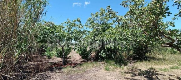 Terreno em Sardinia, Italy 1409 m² N.º 338303 7