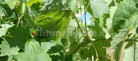 Terreno em Sardinia, Italy 1409 m² N.º 338303 2