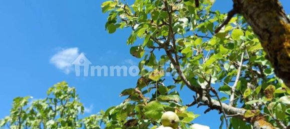 Terreno em Sardinia, Italy 1409 m² N.º 338303 9