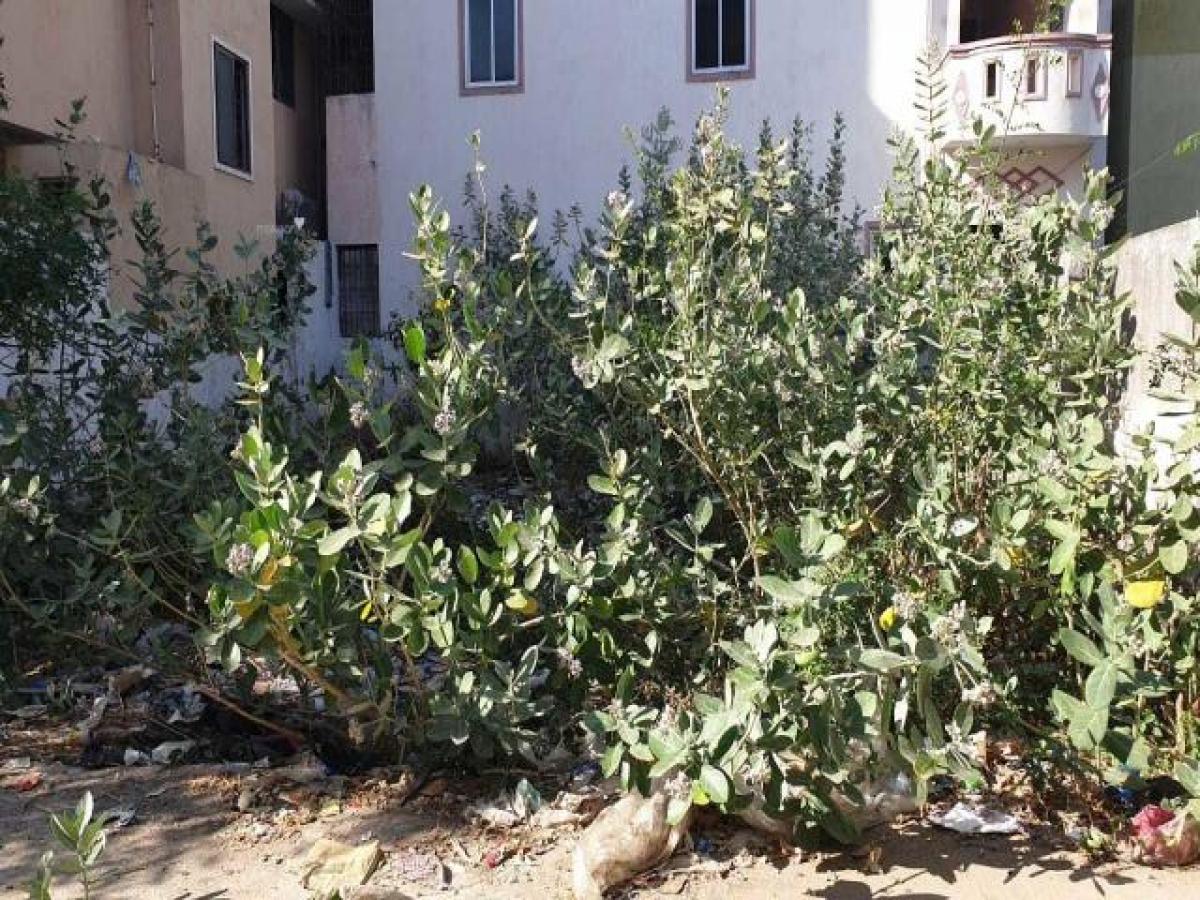  Land in Chennai, India No. 32194