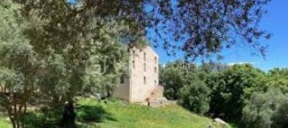 3 Schlafzimmer Wohnung in Ajaccio, France, Nr. 57046 21