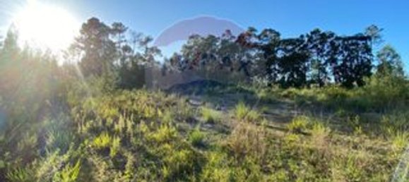 Земельный участок 5420м² в Авейру, Португалия № 72173 4