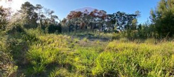 Земельный участок 5420м² в Авейру, Португалия № 72173 2