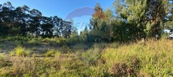 Земельный участок 5420м² в Авейру, Португалия № 72173 3