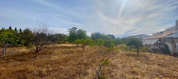 3 bedrooms Villa in Loule, Portugal No. 246103 4