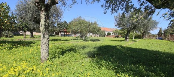 2 bedrooms House in Abrantes, Portugal No. 182740 4