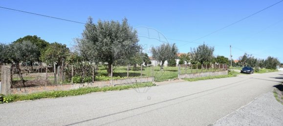 2 bedrooms House in Abrantes, Portugal No. 182740 6