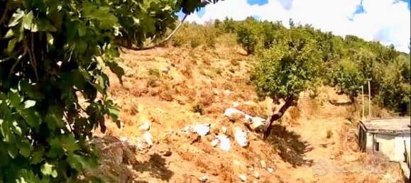  قطعة أرض في Roccarainola, Italy 10000متر مربع رقم 276854 2