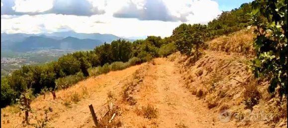  قطعة أرض في Roccarainola, Italy 10000متر مربع رقم 276854 4