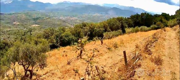  قطعة أرض في Roccarainola, Italy 10000متر مربع رقم 276854 5