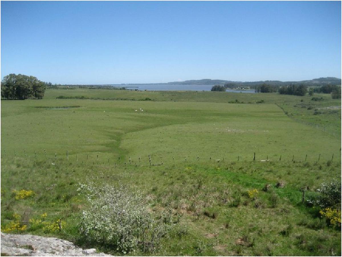  Farm in Maldonado, Uruguay No. 16191