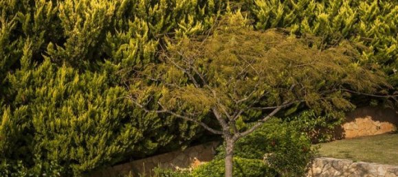 3 Schlafzimmer Villa in Chania, Greece, Nr. 190 25