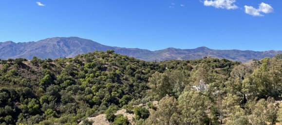 Terrain à Estepona, Spain 4124m² No. 123782 3