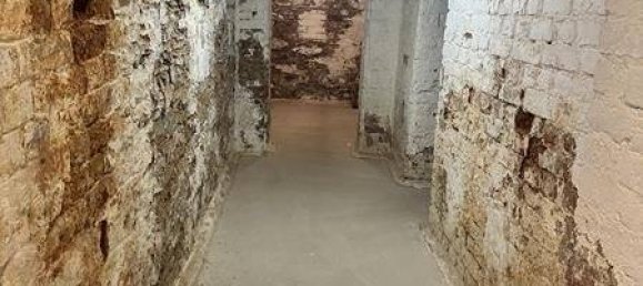 Студия в Цвиккау, Германия № 225556 11