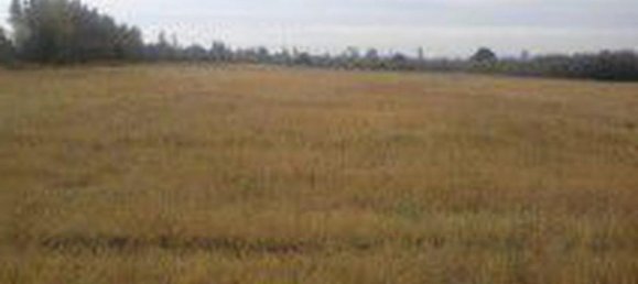 Terrain à Biobio, Chile No. 590 2