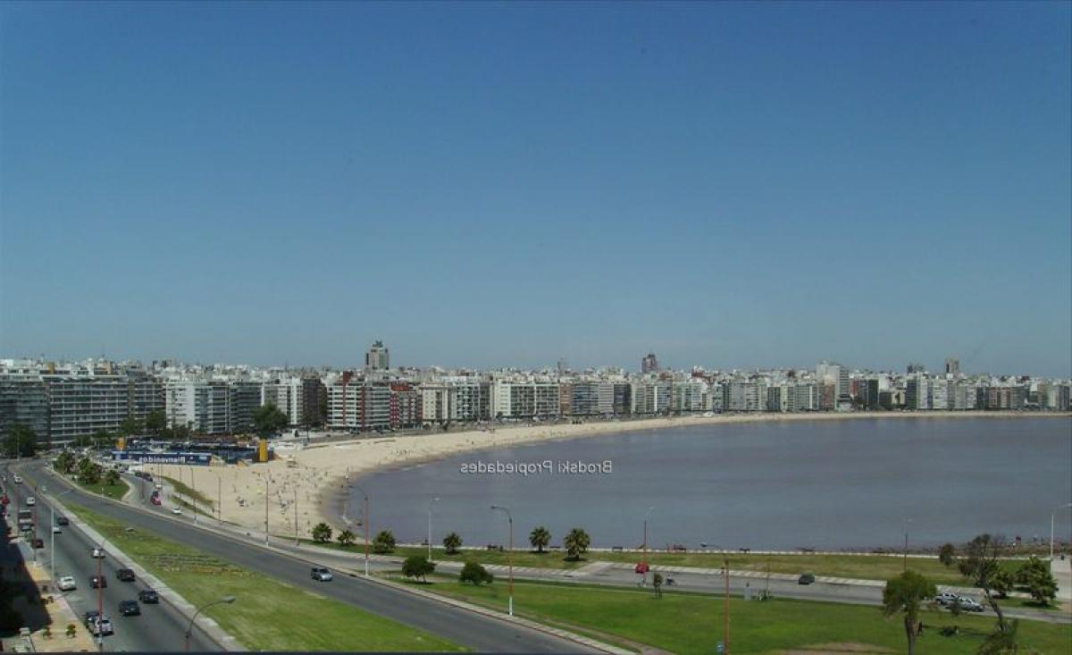 5 bedrooms Apartment in Montevideo, Uruguay No. 1400