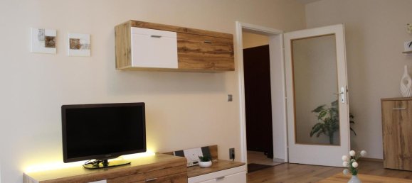 2 rooms Apartment in Vienna, Austria No. 175341 5