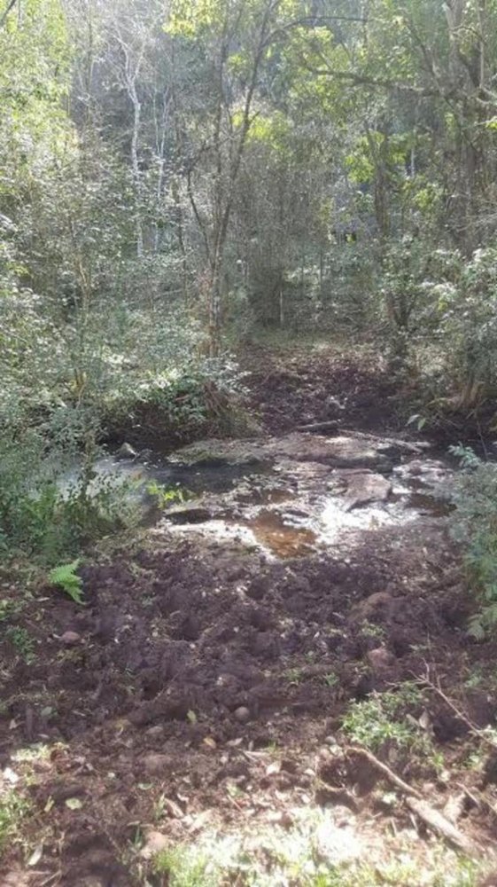  Land in Misiones, Argentina No. 40834