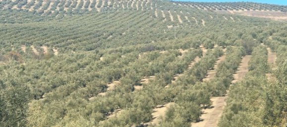  قطعة أرض في Andalusia, Spain 300000متر مربع رقم 183169 10