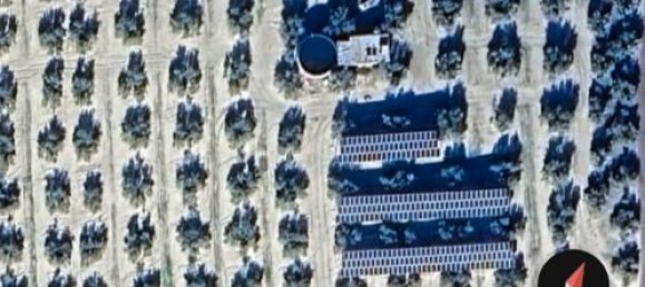  قطعة أرض في Andalusia, Spain 300000متر مربع رقم 183169 2