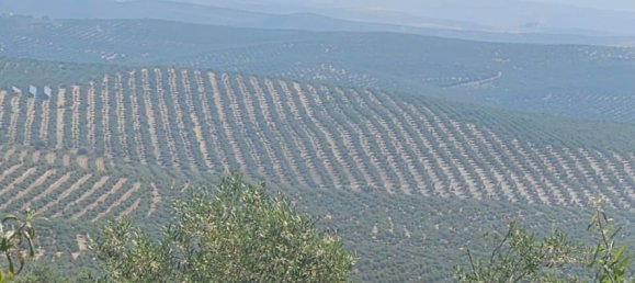  قطعة أرض في Andalusia, Spain 300000متر مربع رقم 183169 11