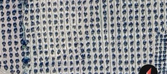  قطعة أرض في Andalusia, Spain 300000متر مربع رقم 183169 4