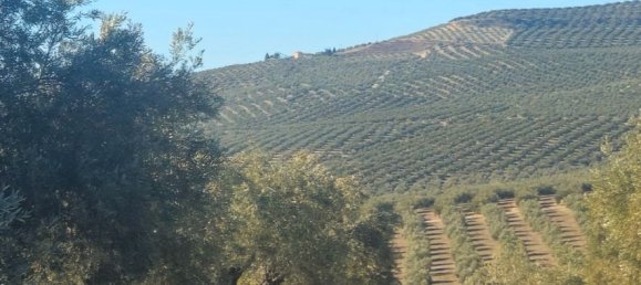  قطعة أرض في Andalusia, Spain 300000متر مربع رقم 183169 7