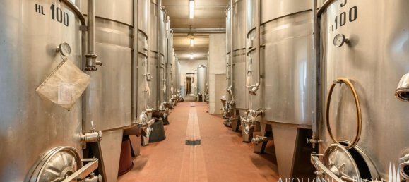 Castillos de 6 dormitorios en Montepulciano, Italy No. 119075 19